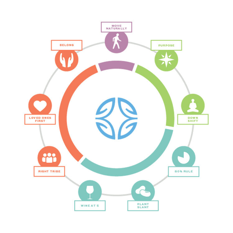 A graphically designed image of the body's blue zones. These include: move naturally, purpose, down shift, 80% rule, plant slant, wine at 5, right tribe, loved ones first, and belong. These blue zones have been positioned in a cycle.