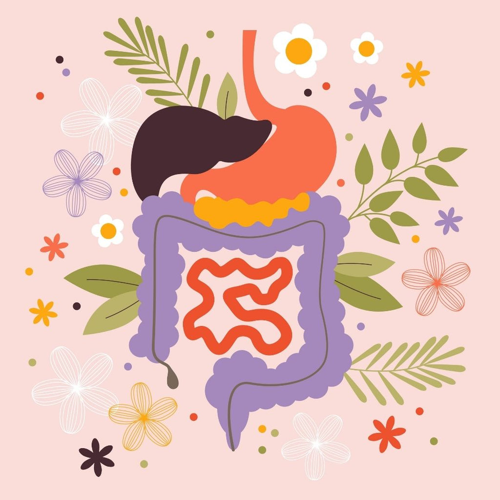 10 Healthy Eating Habits to Boost Digestion