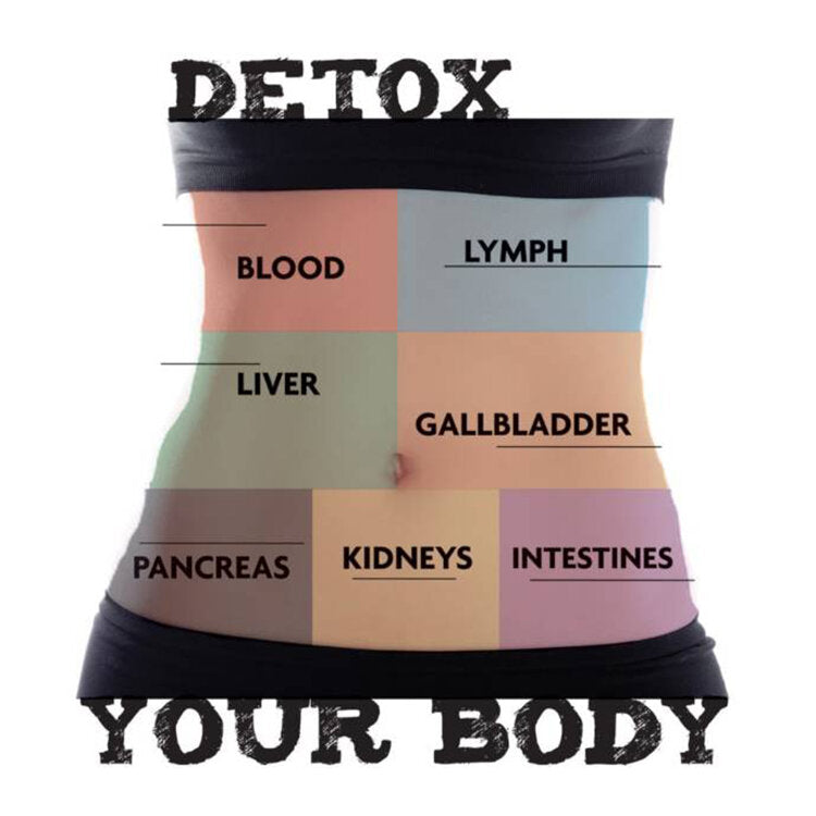 Detox your body diagram